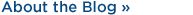 About the Blog
