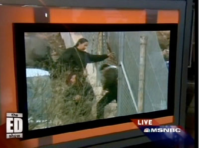 msnbc msnbc