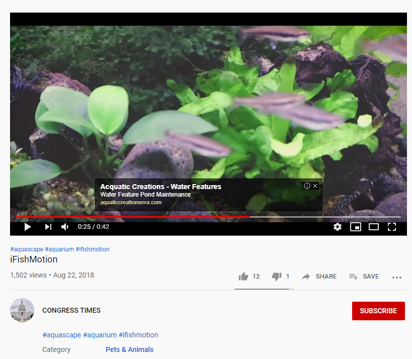 Congress Times YouTube fish video
