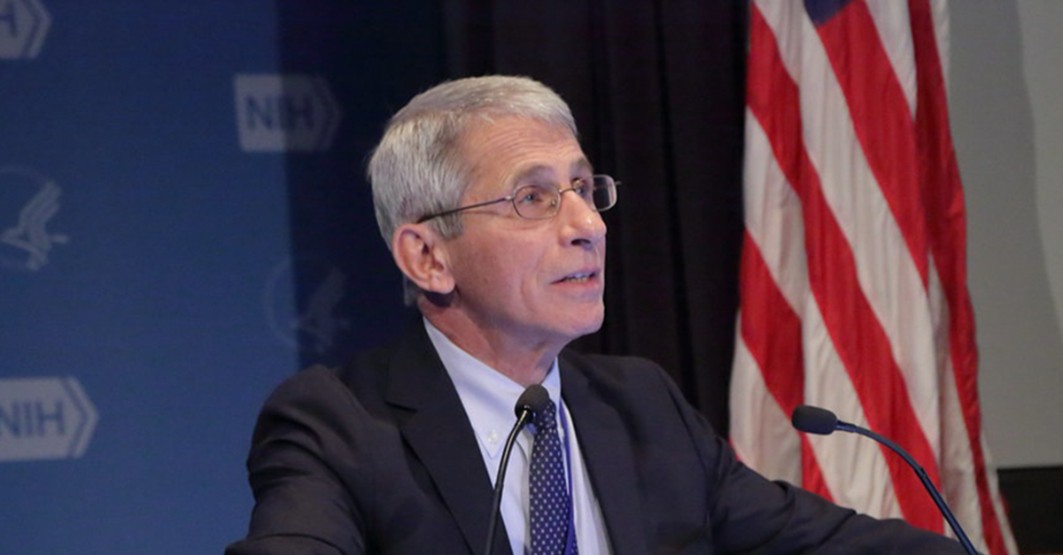 Farright media target Anthony Fauci’s daughter with conspiracy theory