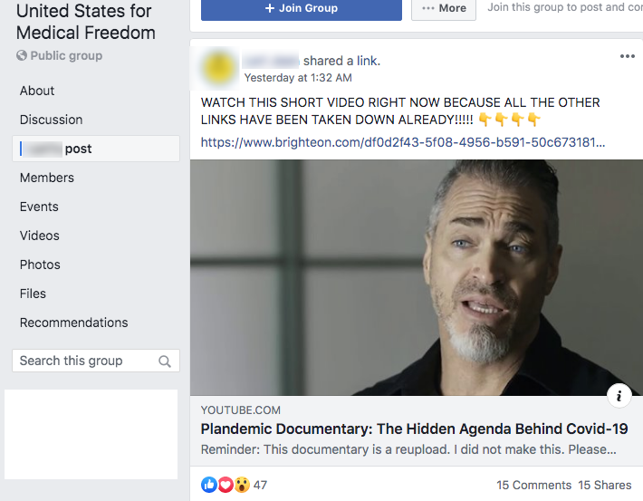 Plandemic Facebook groups1