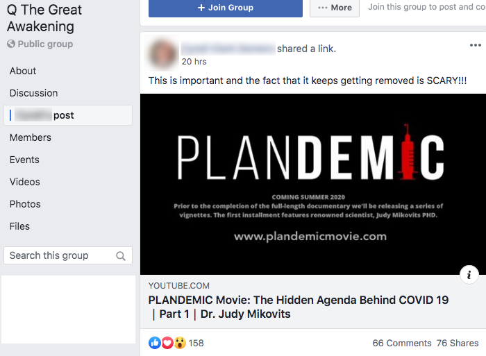 Plandemic Facebook groups5