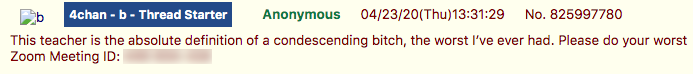 4chan Zoombombing5