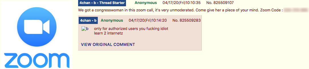 4chan Zoombombing12