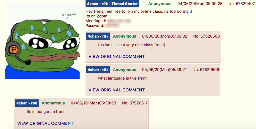 4chan Zoombombing14