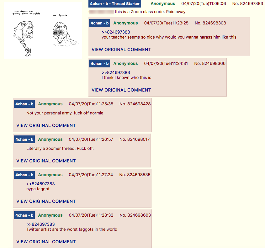 4chan Zoombombing class post