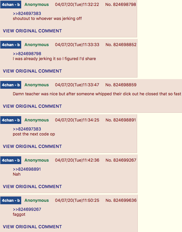 4chan Zoombombing class post2