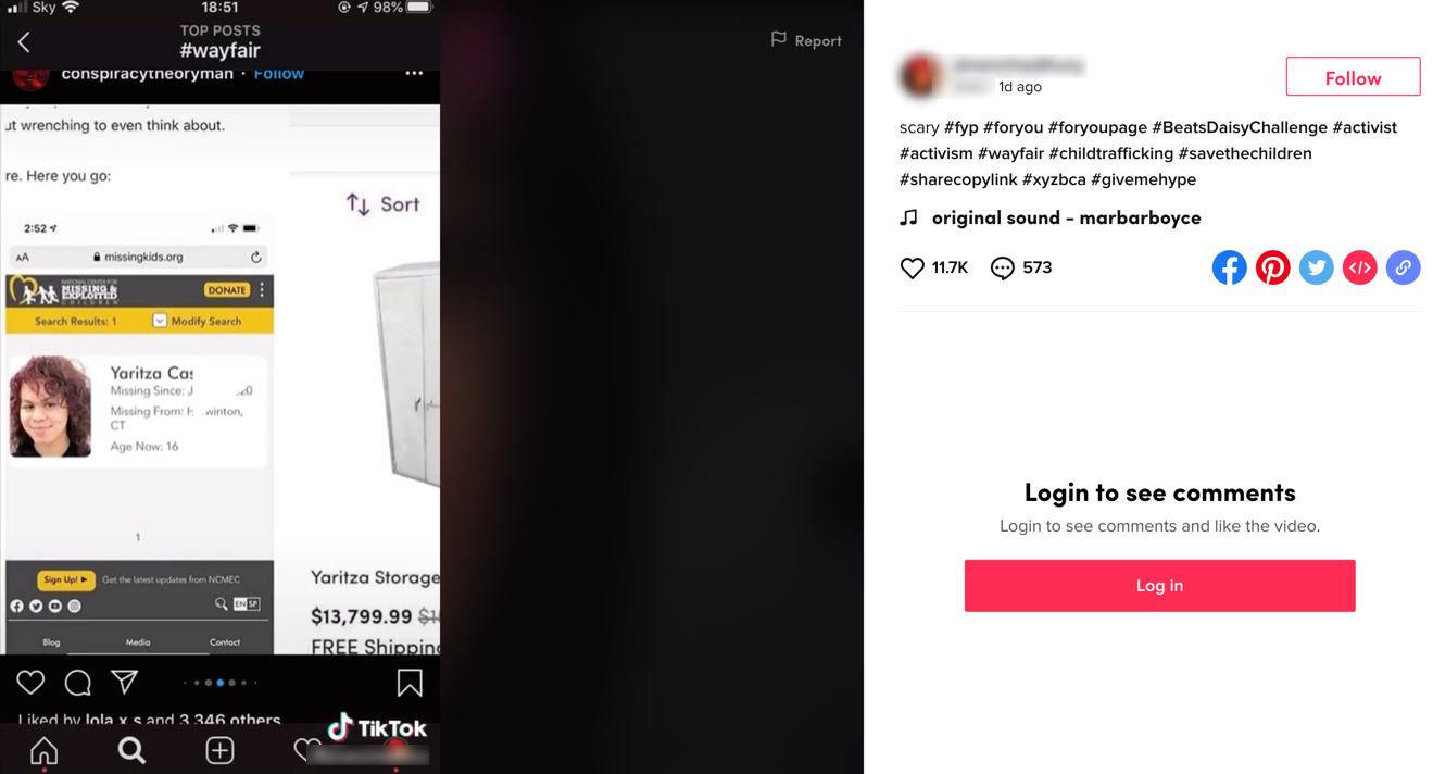 Wayfair TikTok video10