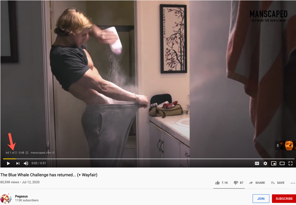Wayfair YouTube ad2