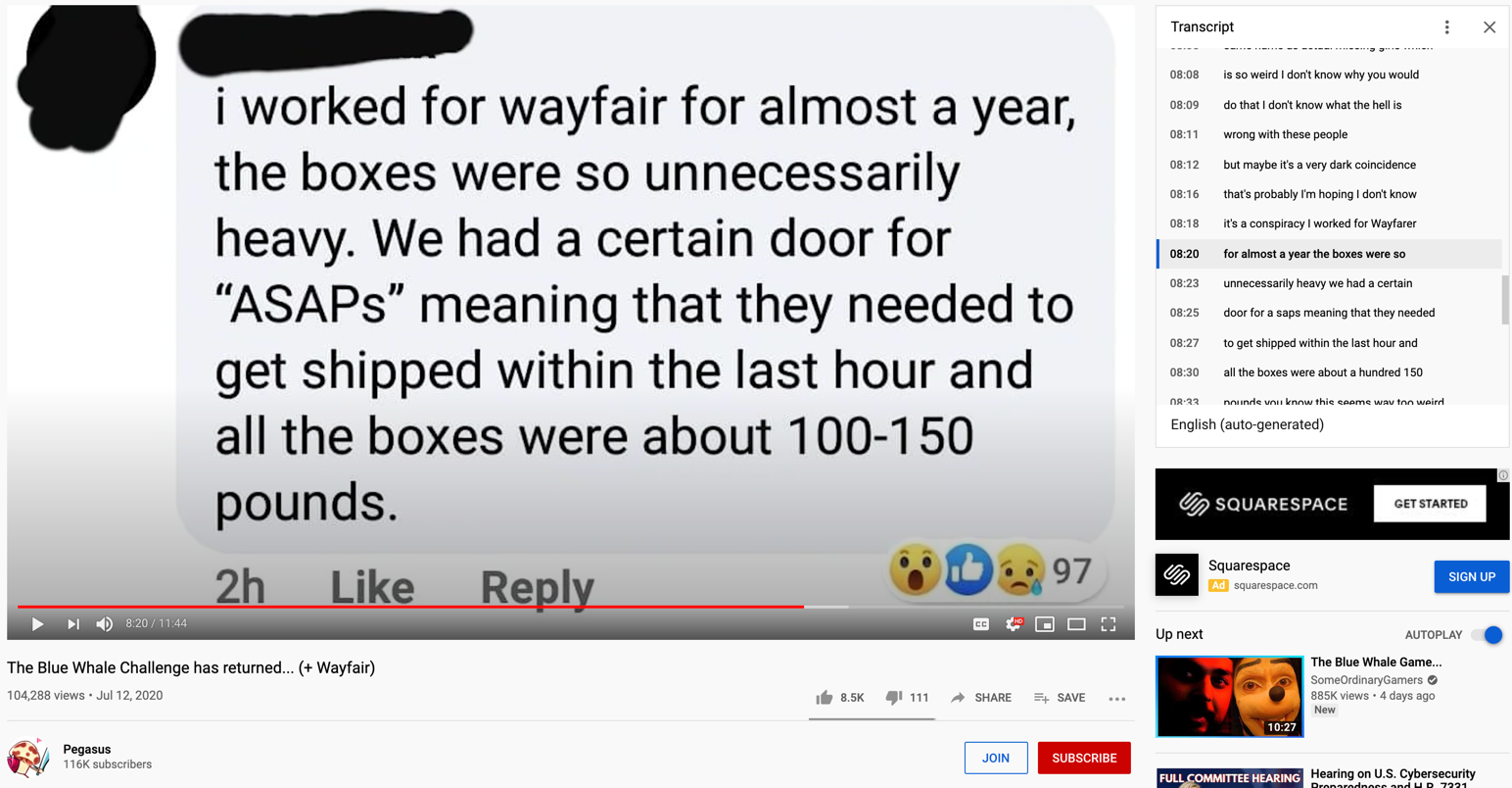 Wayfair YouTube video2