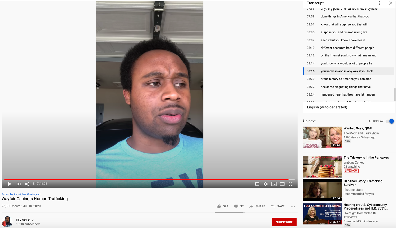 Wayfair YouTube video9