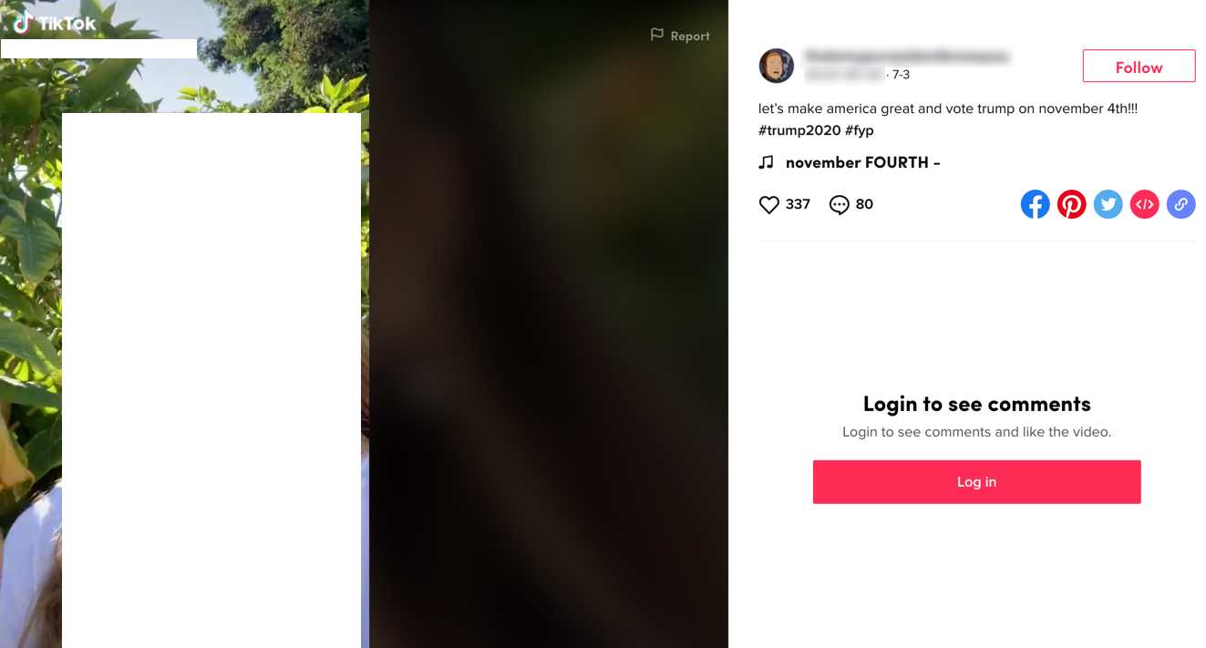 TikTok voting video3