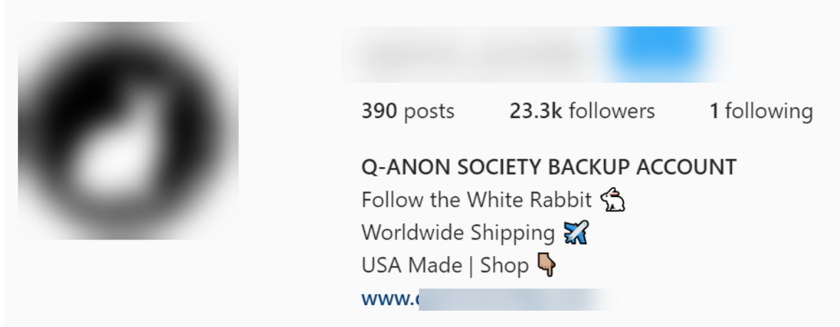 Screenshot of @qanonsociety back-up Instagram page 9/3