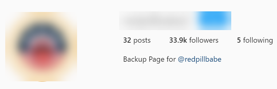 Screentshot of back-up account for redpillbabe