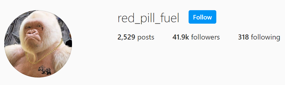 Screenshot of @red_pill_fuel on Instagram 9/3