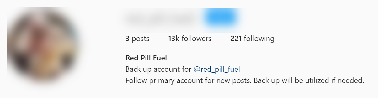 Screenshot of @red_pill_fuel back-up account 9/3
