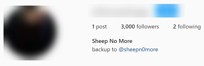 Screenshot of back-up account for @sheepn0more