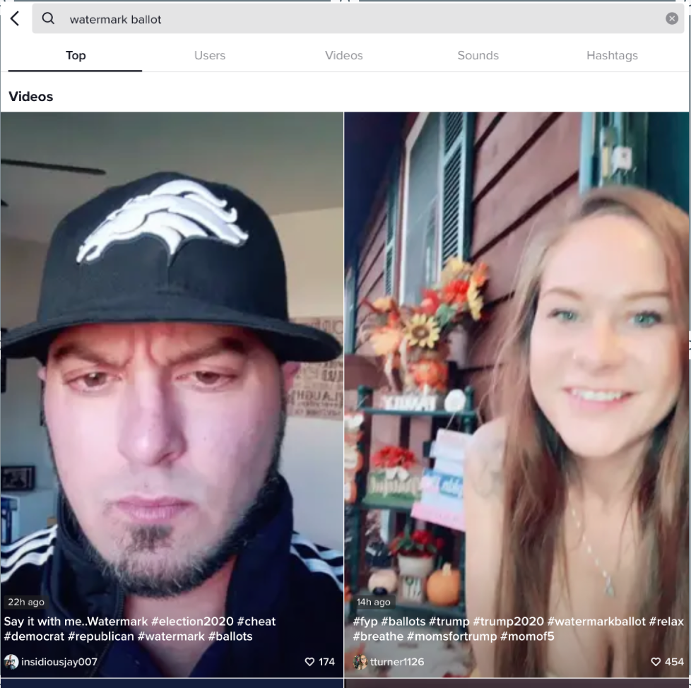 TikTok watermark conspiracy theory 