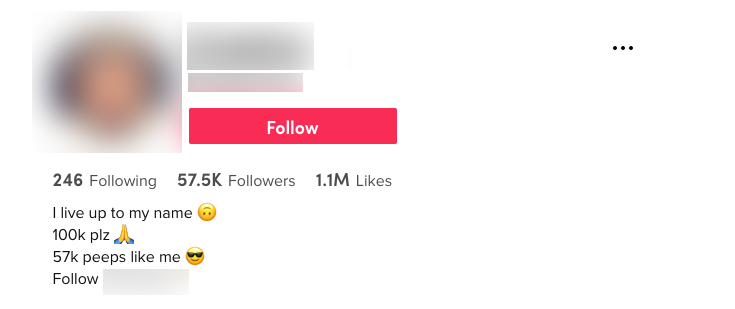 image of tiktok account