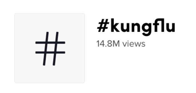 KungFlu