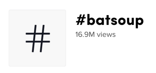 BatSoup