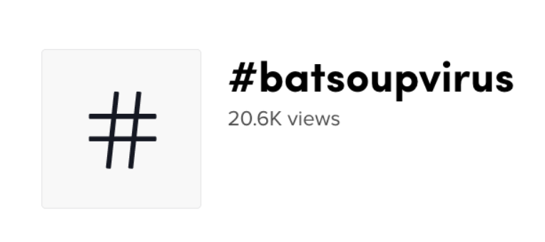 BatSoupVirus