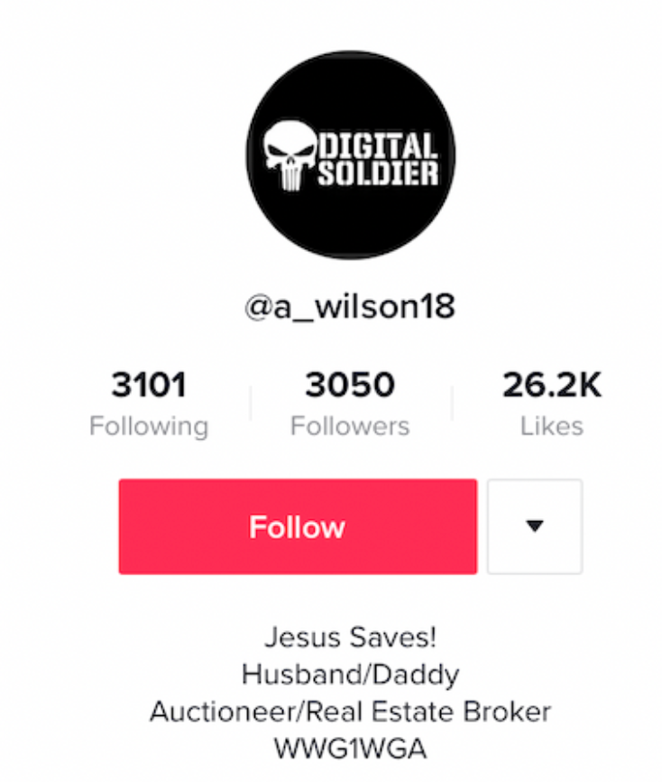 QAnon TikTok