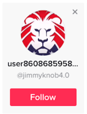 Patriot Party TikTok