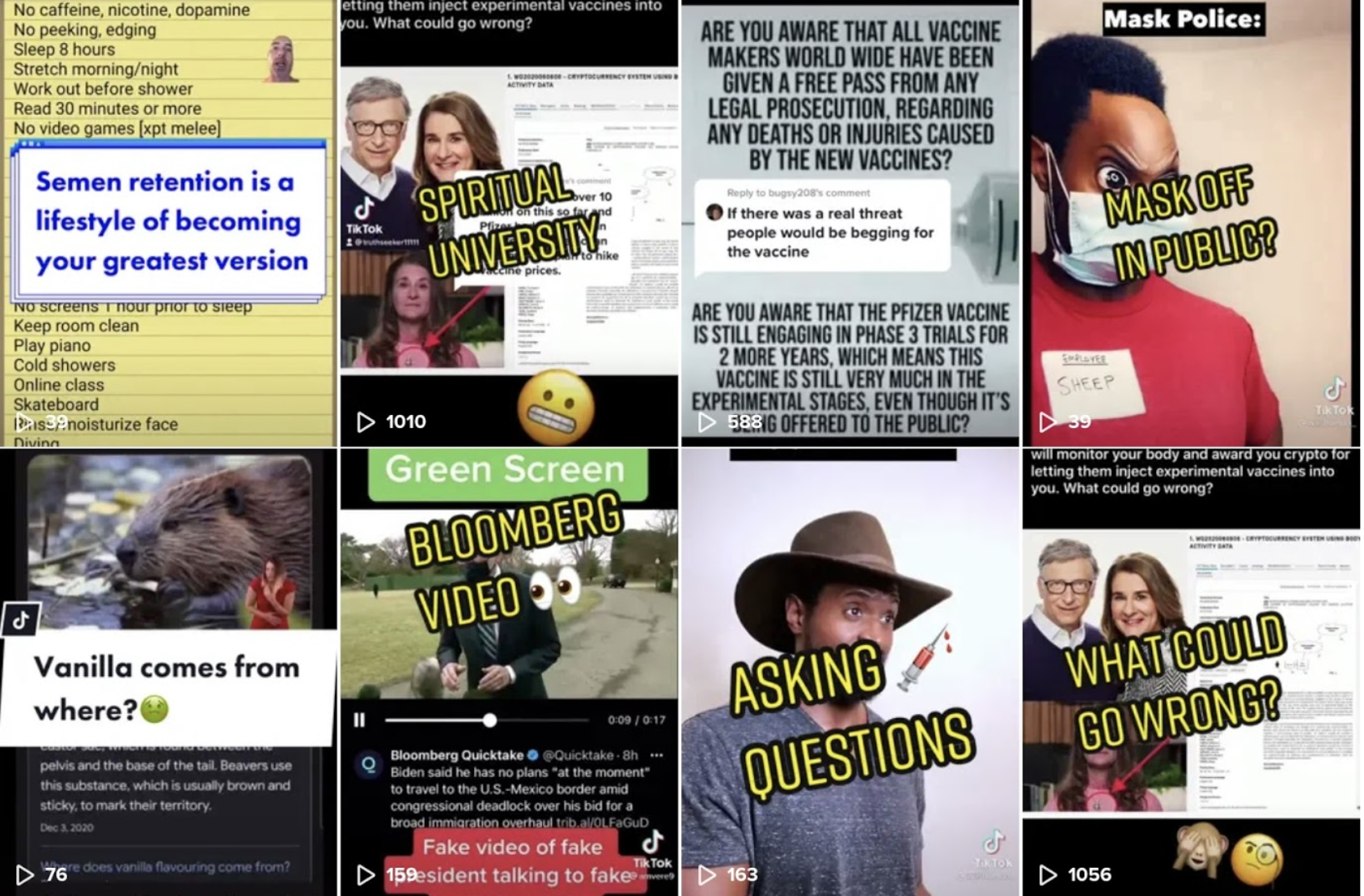 truthseeker1111 videos