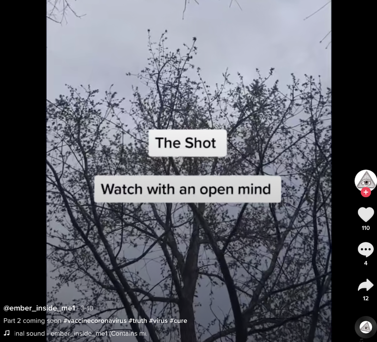 ember_inside_me covid misinfo