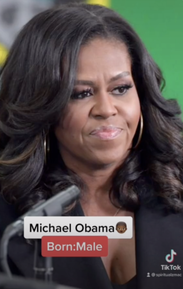 truthseekerzmac michelle obama