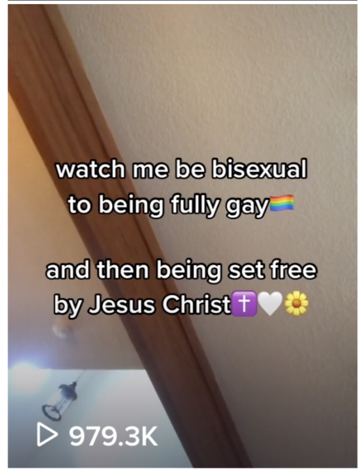 TikTok conversion therapy views