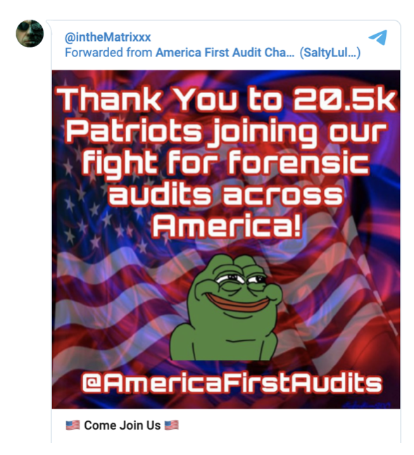 QAnon Audit Promotion 