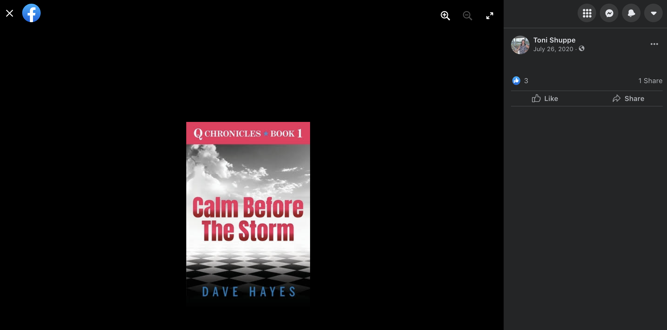 Shuppe QAnon Book
