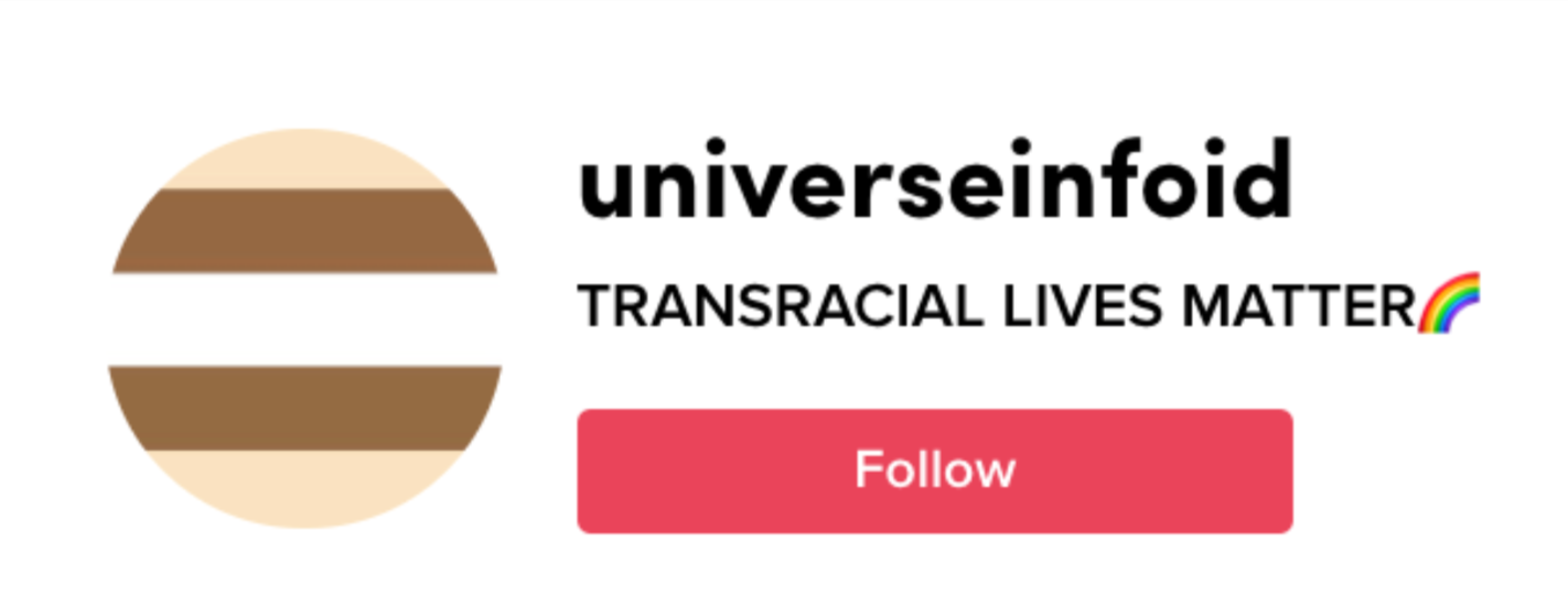 transracial flag profile pic on tiktok