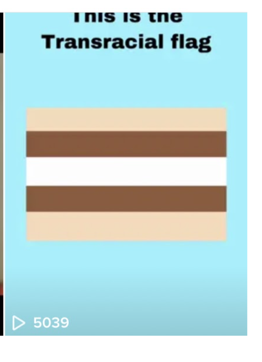 transracial flag tiktok video