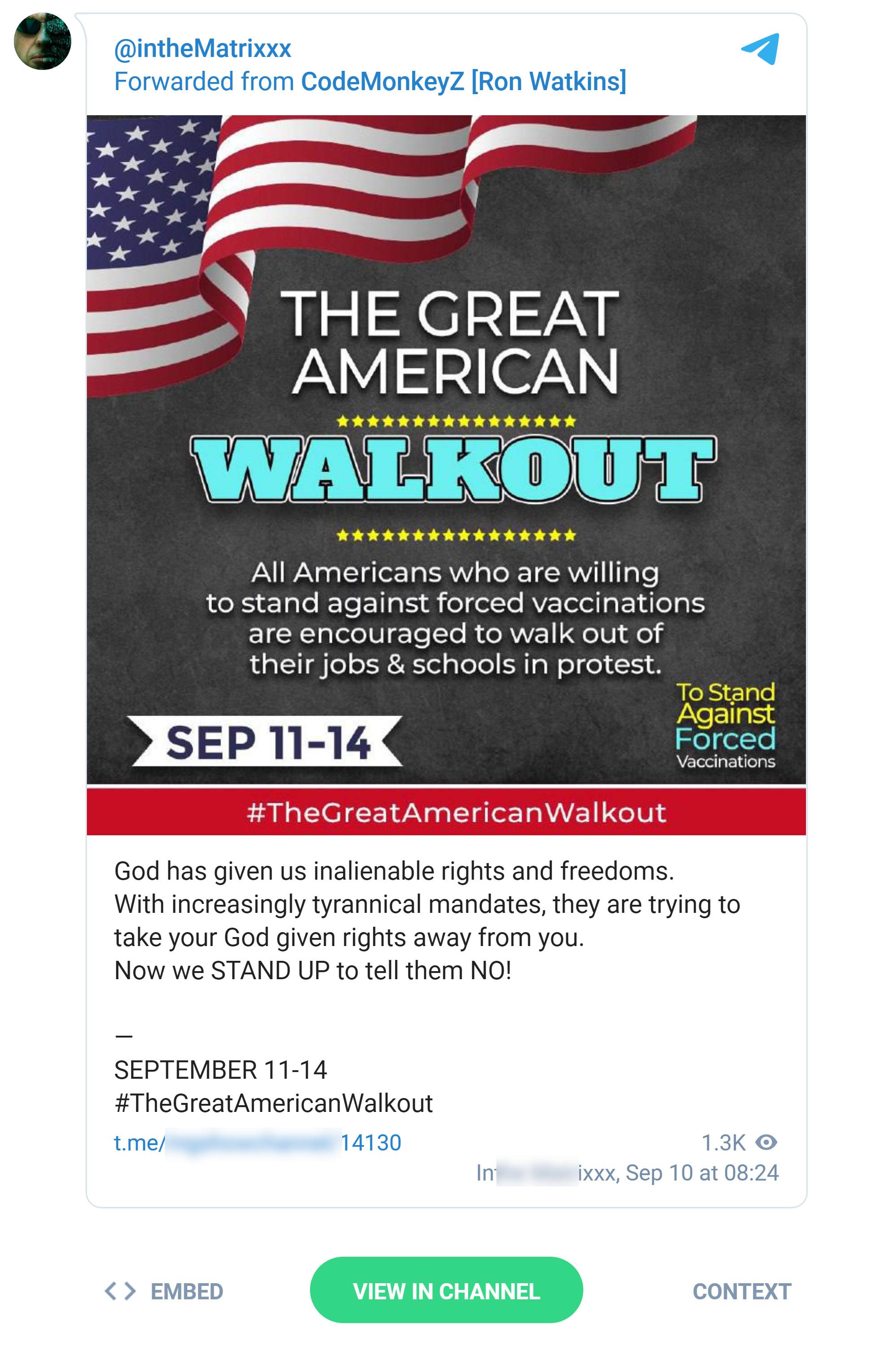 QAnon influencers share flyer.pn