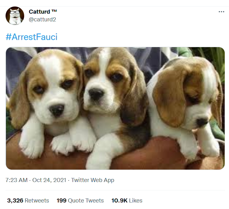 Catturd2 - Oct 24 - arrestfauci with puppies