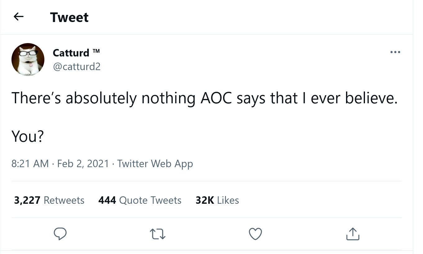  catturd2 - feb2 - aoc.jpg 