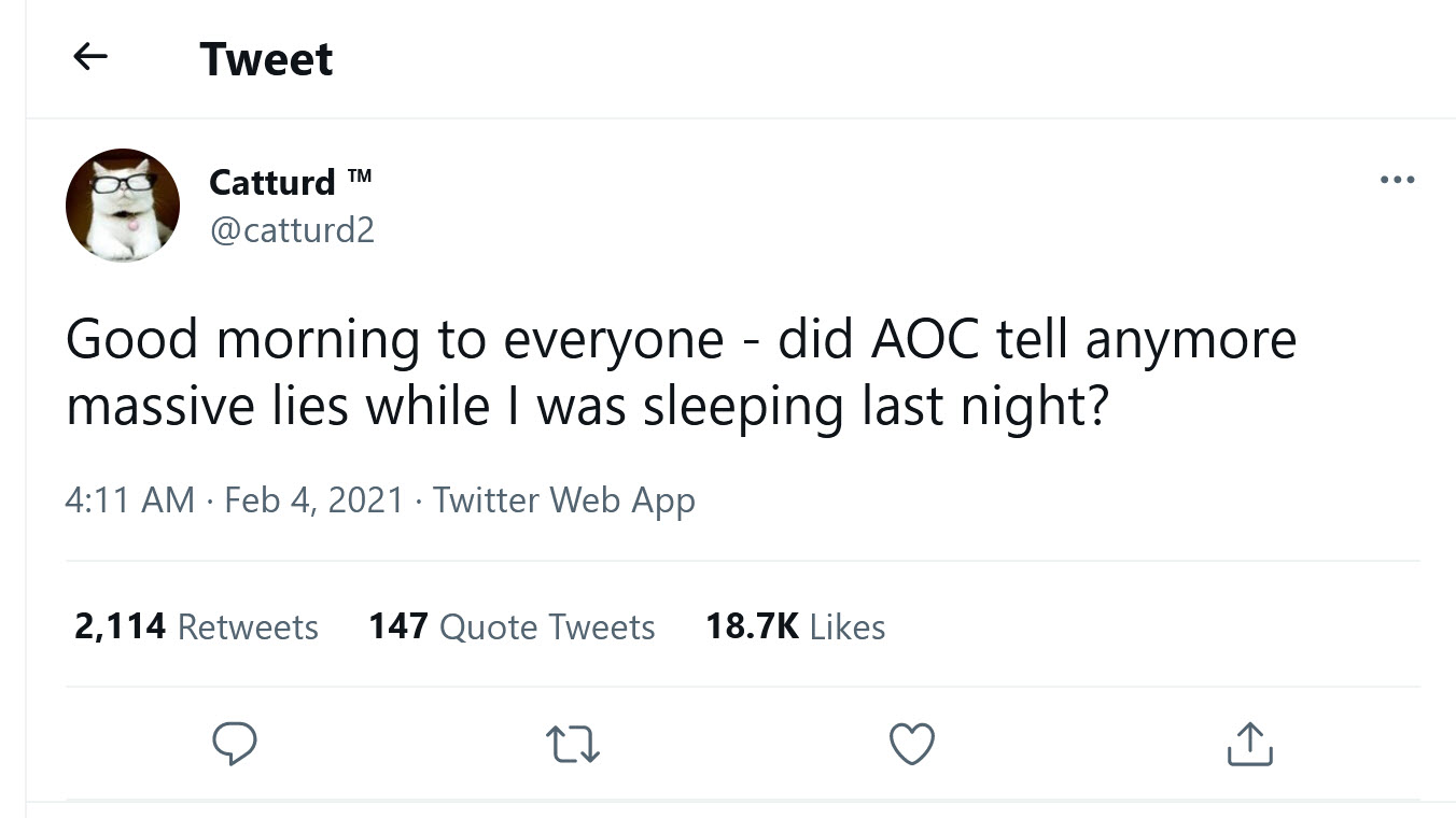 catturd2 - feb4 - aoc lies.jpg
