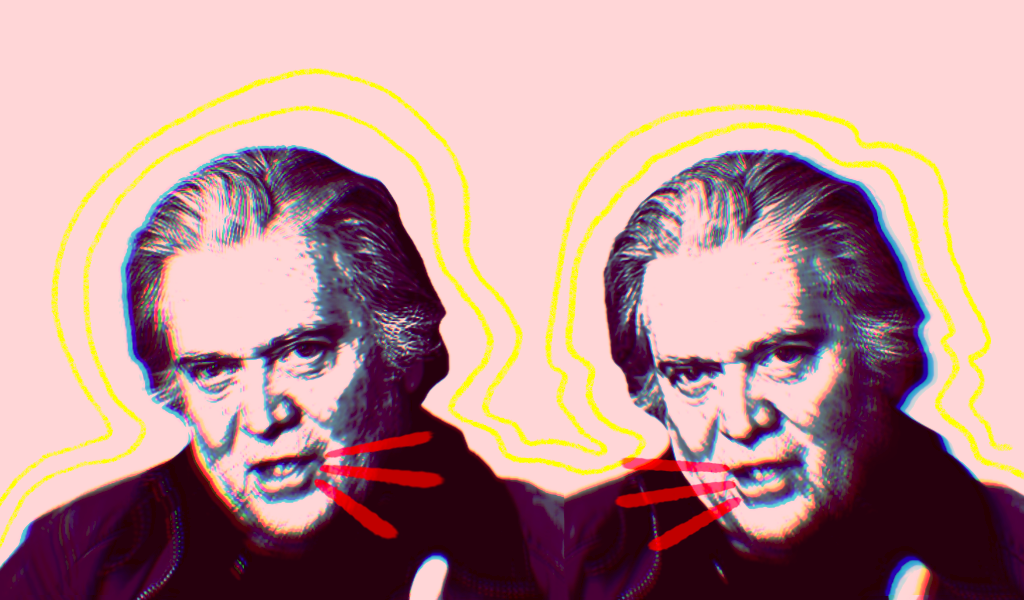 Madeline Peltz talks with NPR's Morning Edition about Steve Bannon's