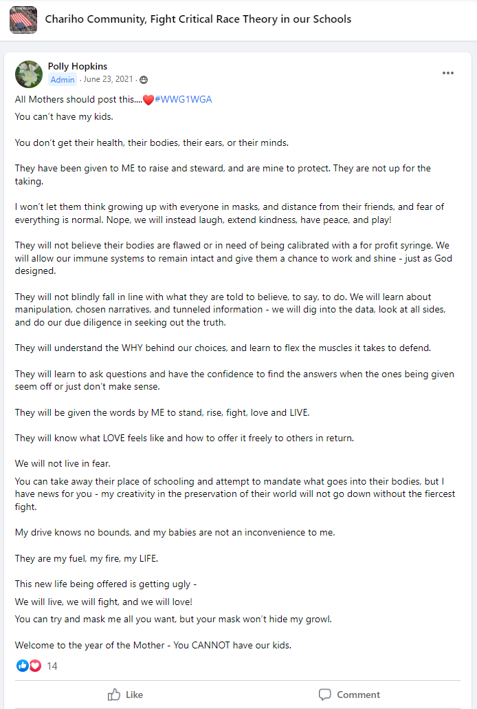 Polly Hopkins QAnon post
