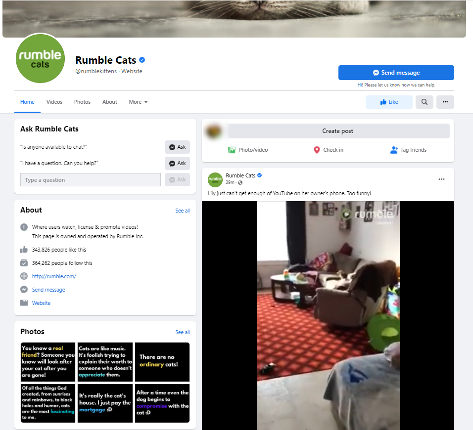 Rumble Cats Page