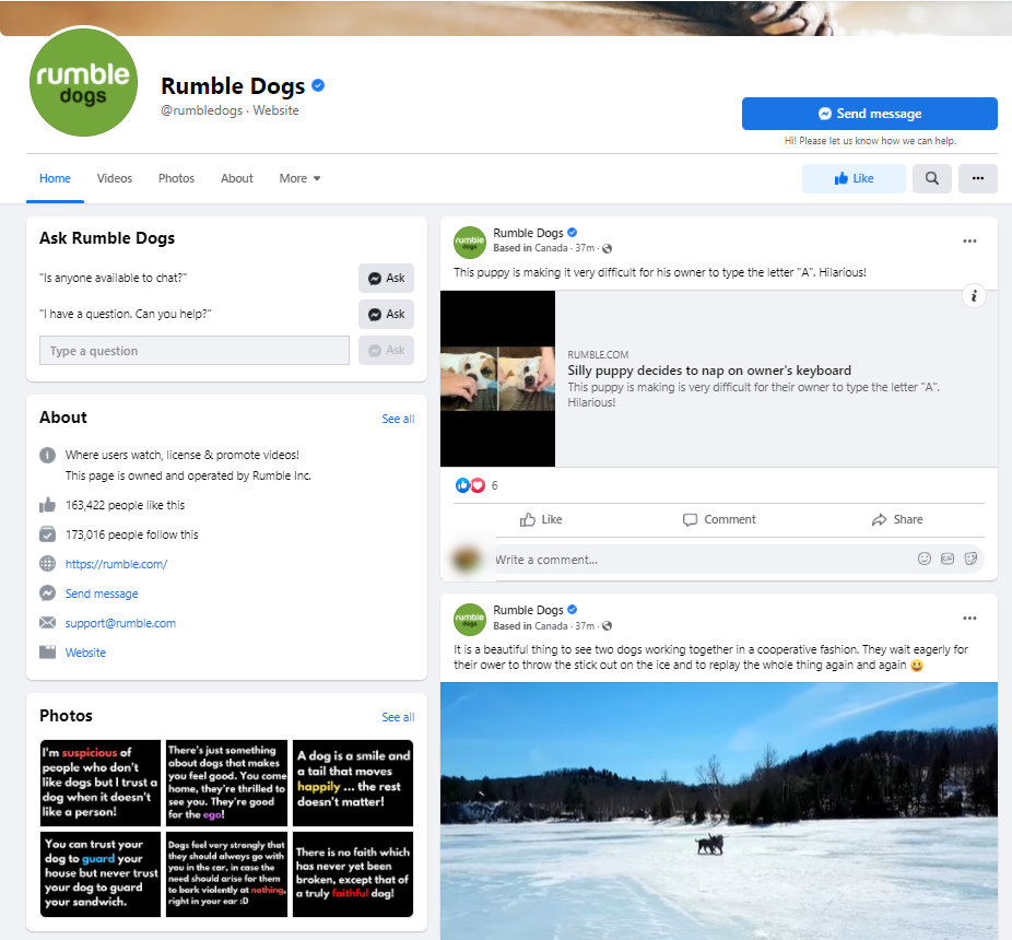Rumble Dogs Page