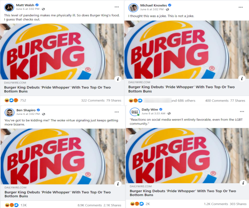 Daily Wire Company Pride Collage