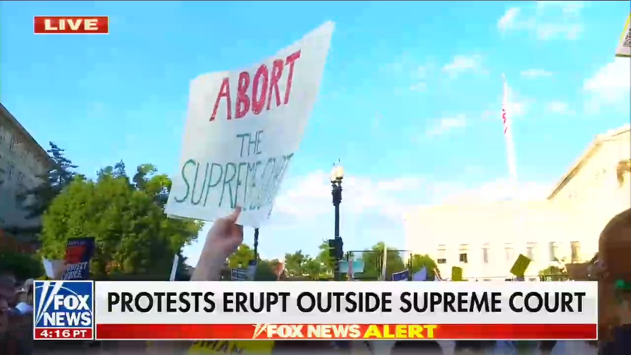 Fox News correspondent complains that too many protest signs are &ldquo;vulgar&rdquo;