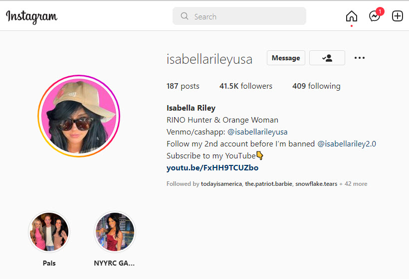 A screenshot of Isabella Riley's Instagram account showing her follower count