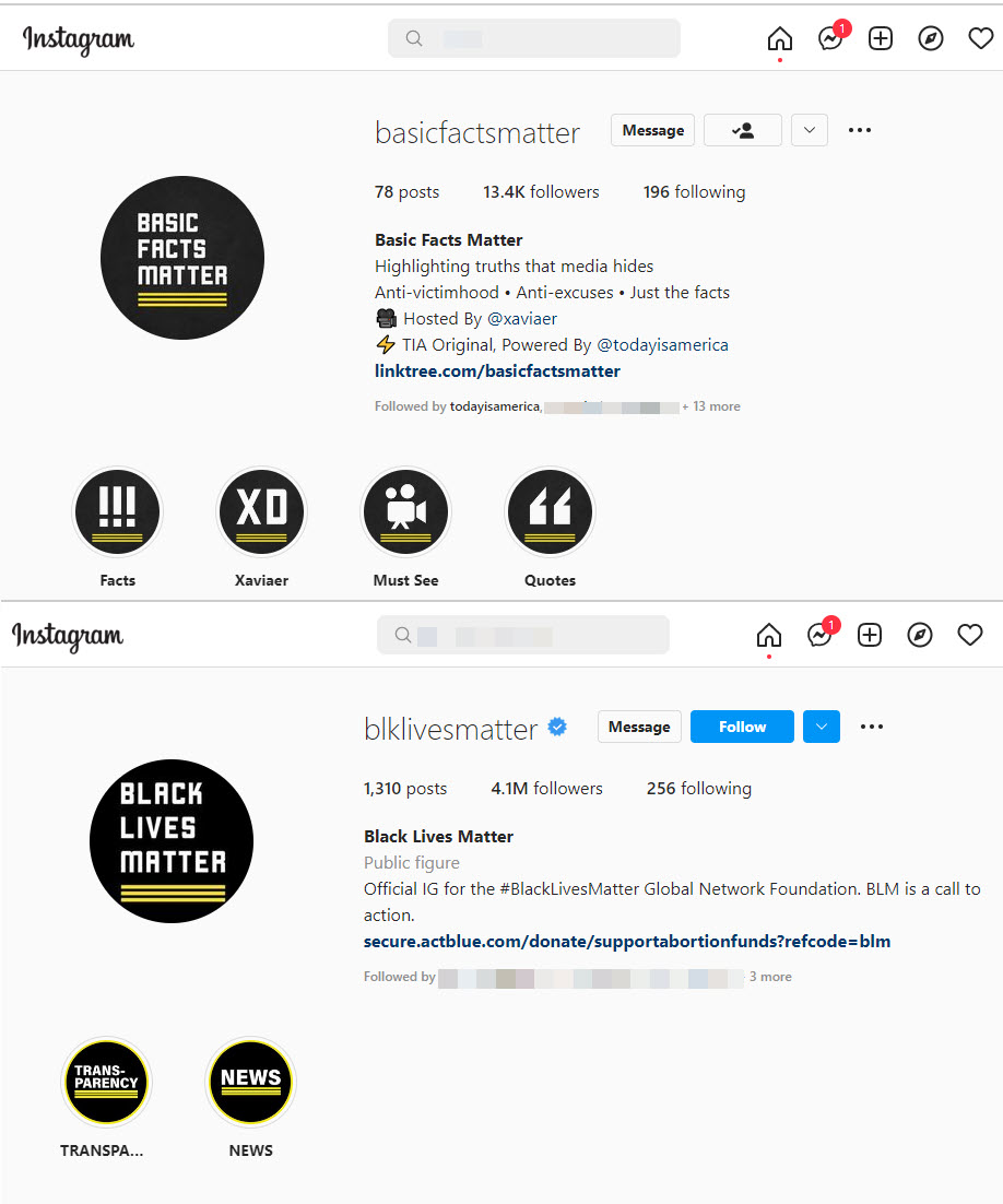 A screenshot of both the Black Lives Matter and the Basic Facts Matter Instagram accounts, showing the similarity in branding 