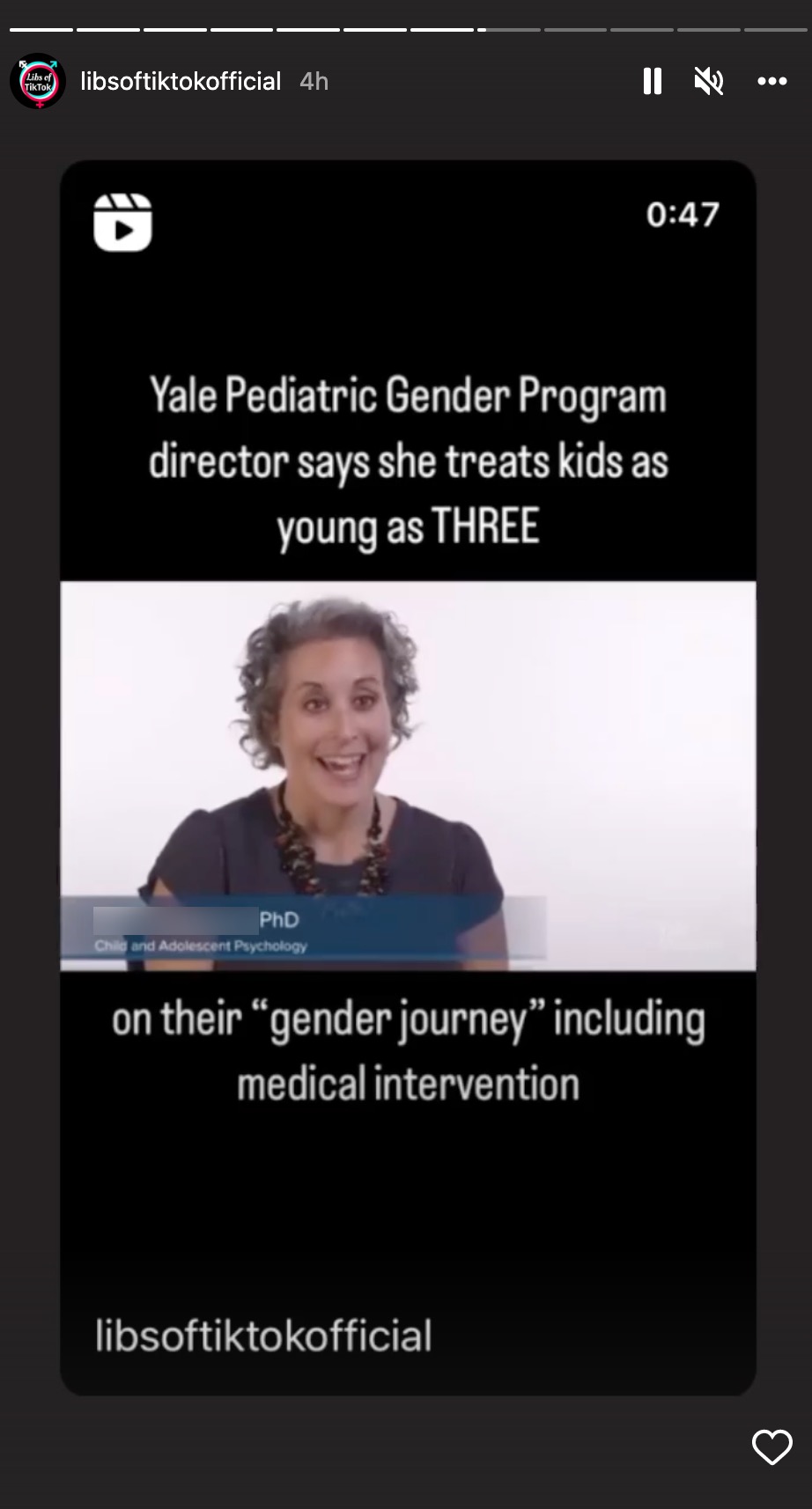 Image of Instagram story