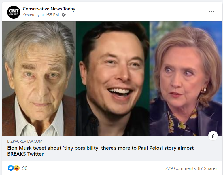 Facebook page Musk Pelosi Conspiracy Theory 4